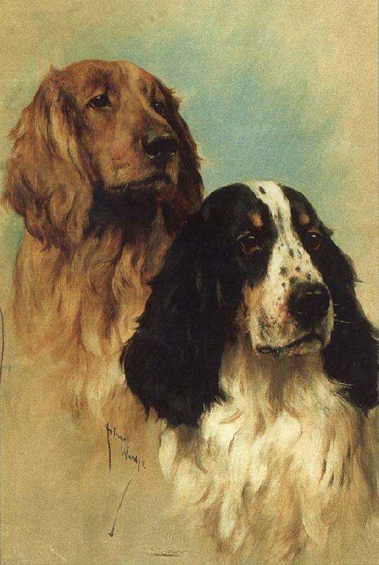 John emms English Springer Spaniels at Rest Germany oil painting art